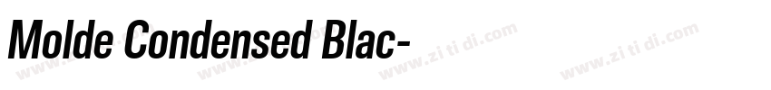 Molde Condensed Blac字体转换